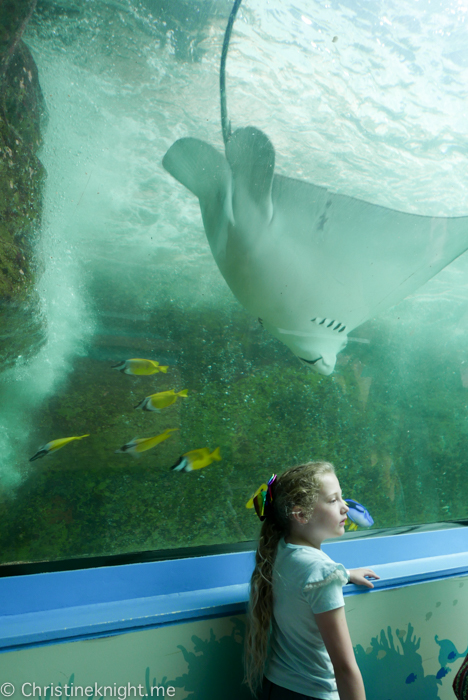 SEA LIFE Sydney Aquarium Australia