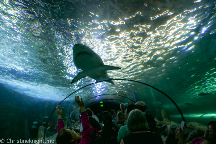 SEA LIFE Sydney Aquarium Australia