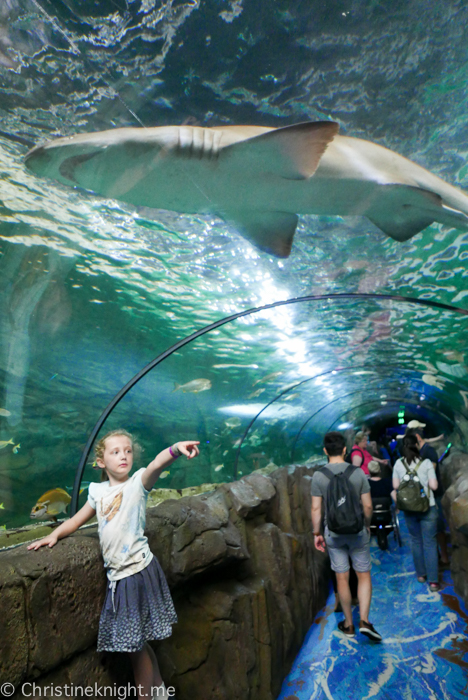 SEA LIFE Sydney Aquarium Australia