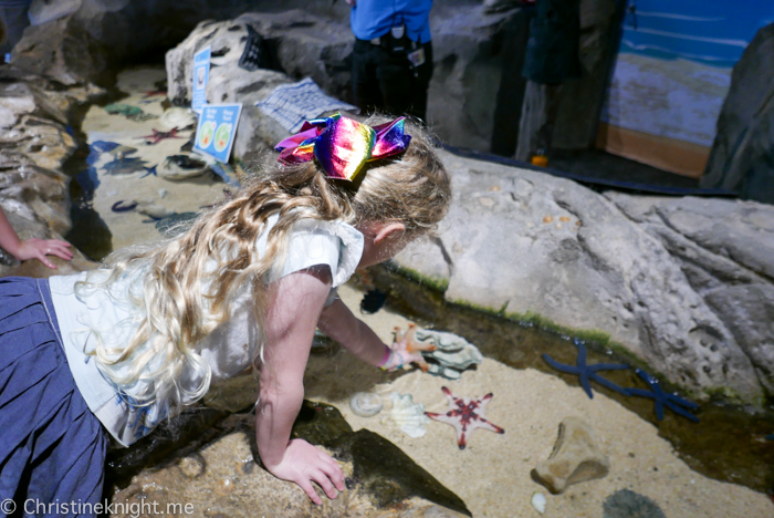 SEA LIFE Sydney Aquarium Australia