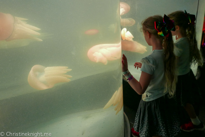 SEA LIFE Sydney Aquarium Australia