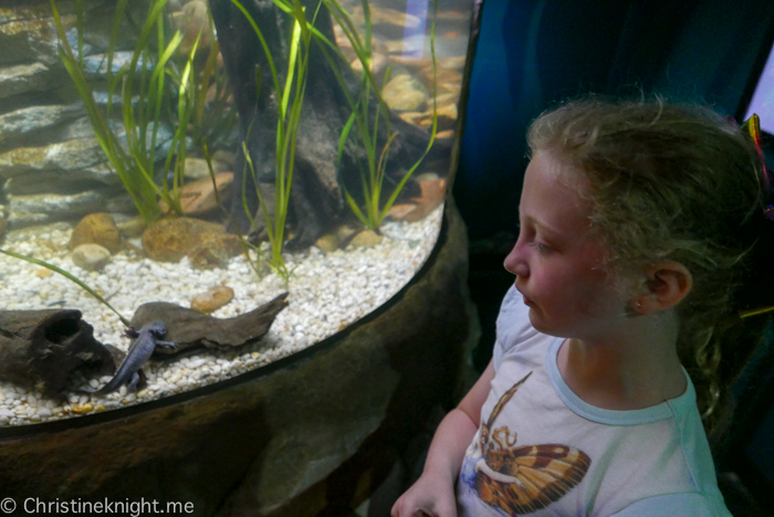 SEA LIFE Sydney Aquarium Australia