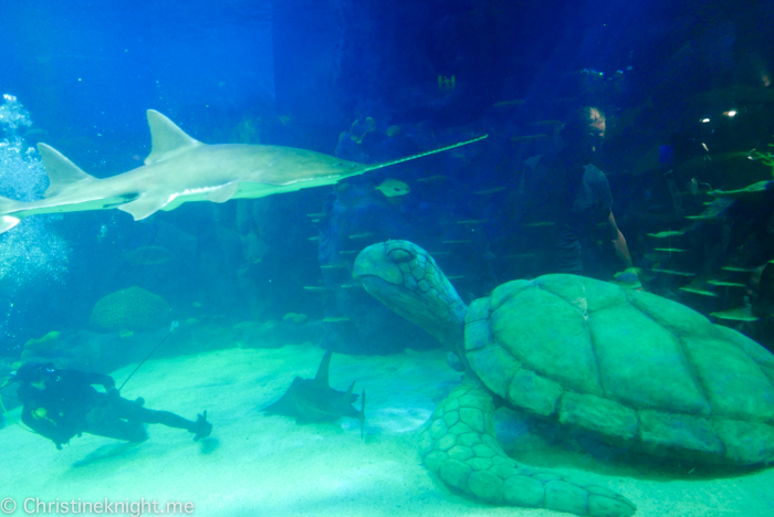 SEA LIFE Sydney Aquarium Australia