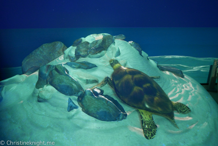 SEA LIFE Sydney Aquarium Australia