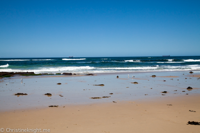 Caves Beach, NSW, Australia