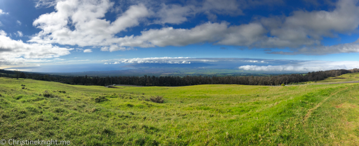 Haleakala, Maui, Hawaii