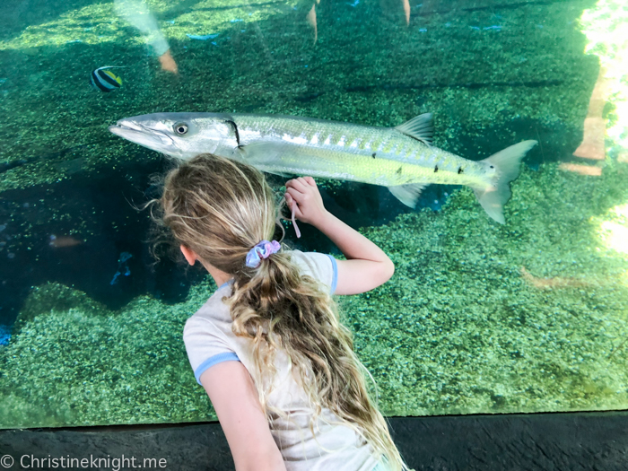 Maui Ocean Center, The Aquarium of Hawaii