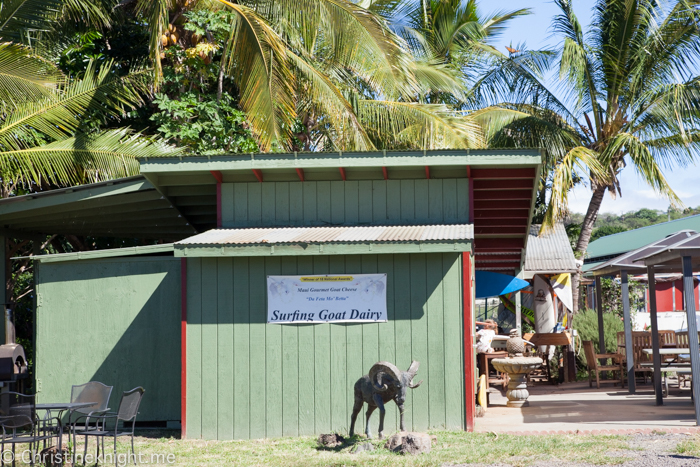 Surfing Goat Dairy, Maui, Hawaii