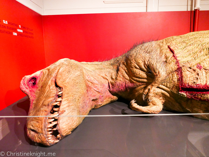 Dinosaur - Tyrannosaurus rex - The Australian Museum