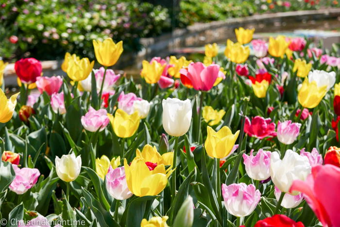 Corbett Gardens, Berrima NSW