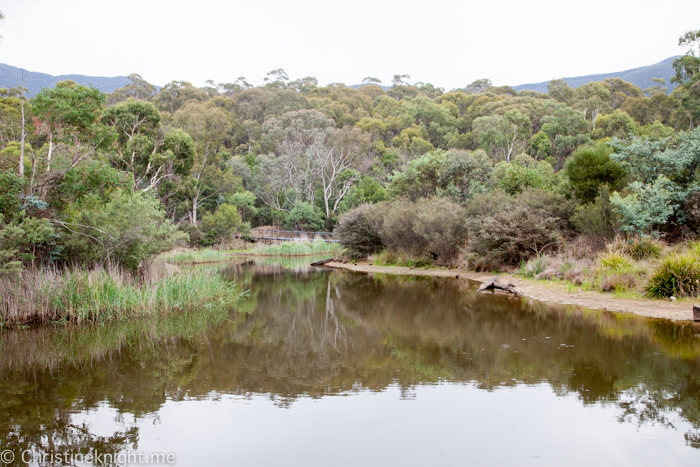 Tidbinbilla Canberra Australia