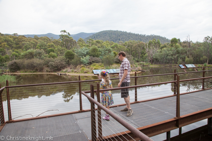 Tidbinbilla Canberra Australia