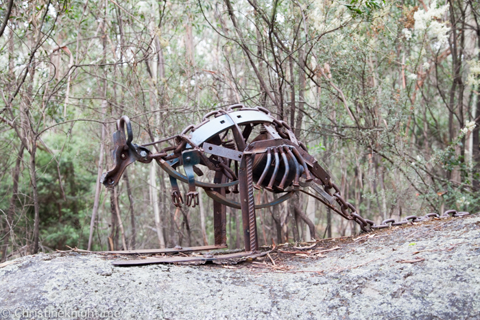 Tidbinbilla Canberra Australia