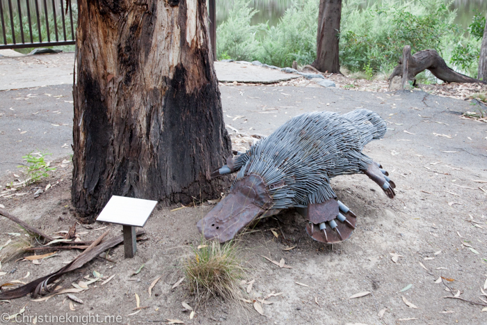 Tidbinbilla Canberra Australia