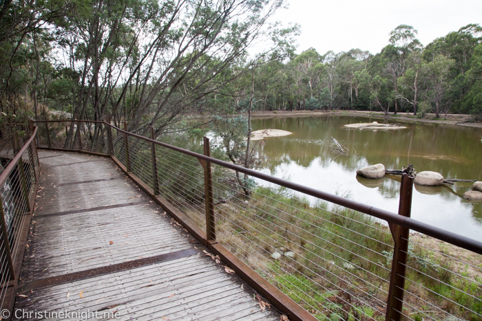 Tidbinbilla Canberra Australia