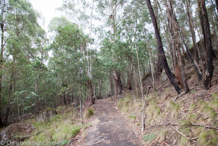 Tidbinbilla Canberra Australia