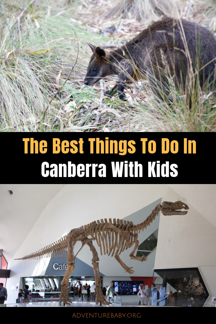 The Best Things To Do In Canberra With Kids