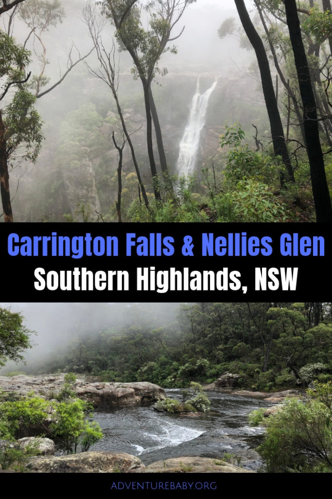 Carrington Falls and Nellies Glen, Budderoo National Park, NSW ...