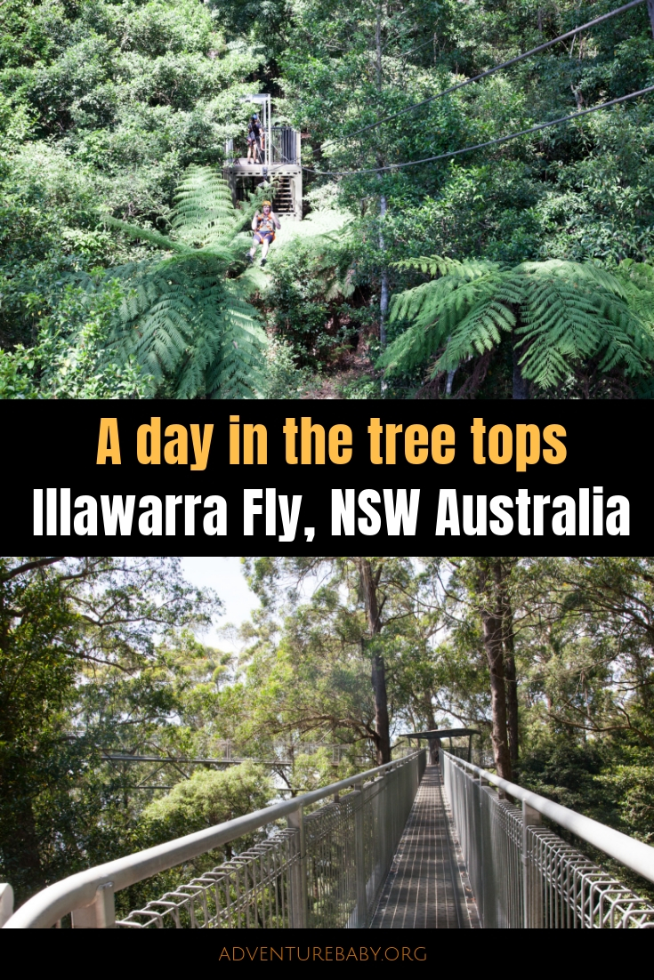 Illawarra Fly Treetop Adventures Australia - Adventure, baby!