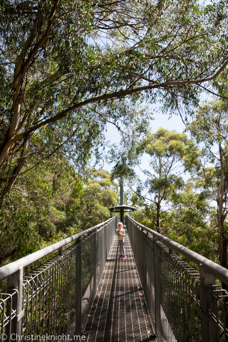 Illawarra Fly, Sydney, NSW, Australia