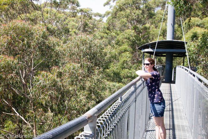 Illawarra Fly, Sydney, NSW, Australia