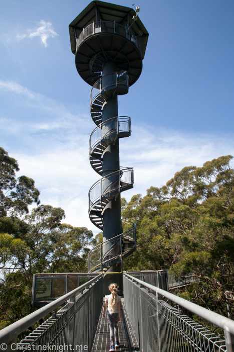 Illawarra Fly, Sydney, NSW, Australia