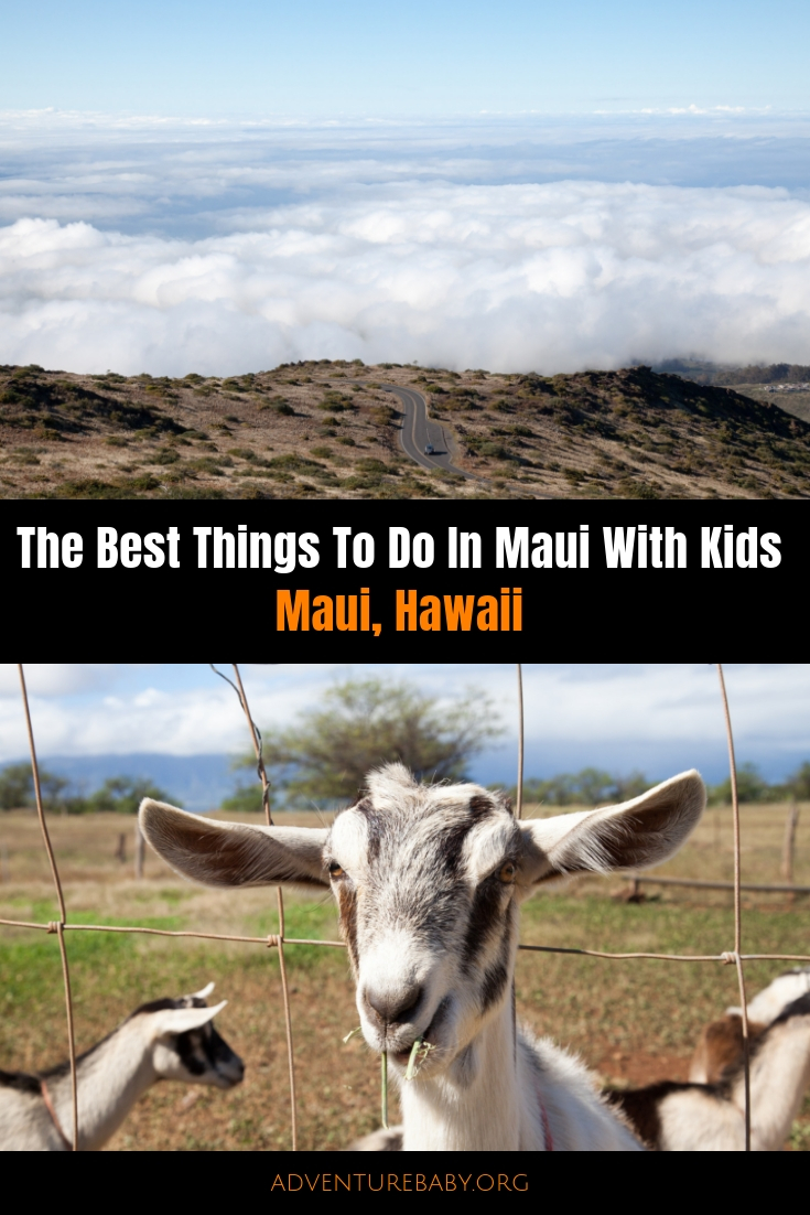 The Best Things To Do In Maui With Kids, Hawaii