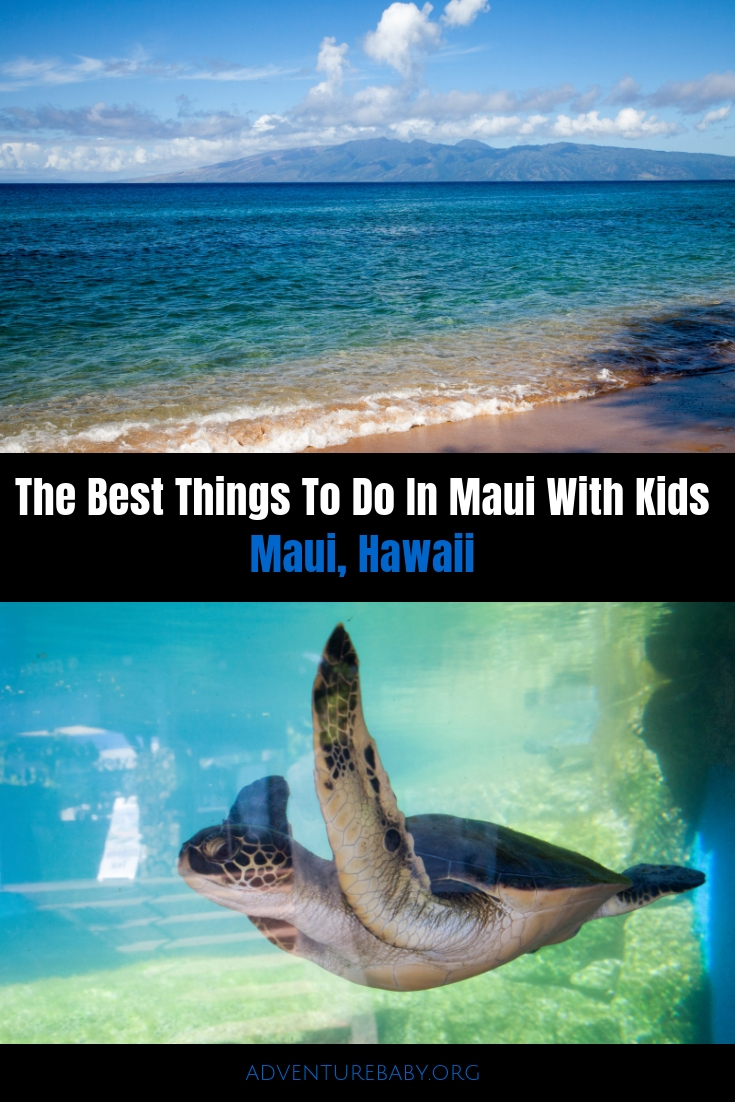 The Best Things To Do In Maui With Kids, Hawaii