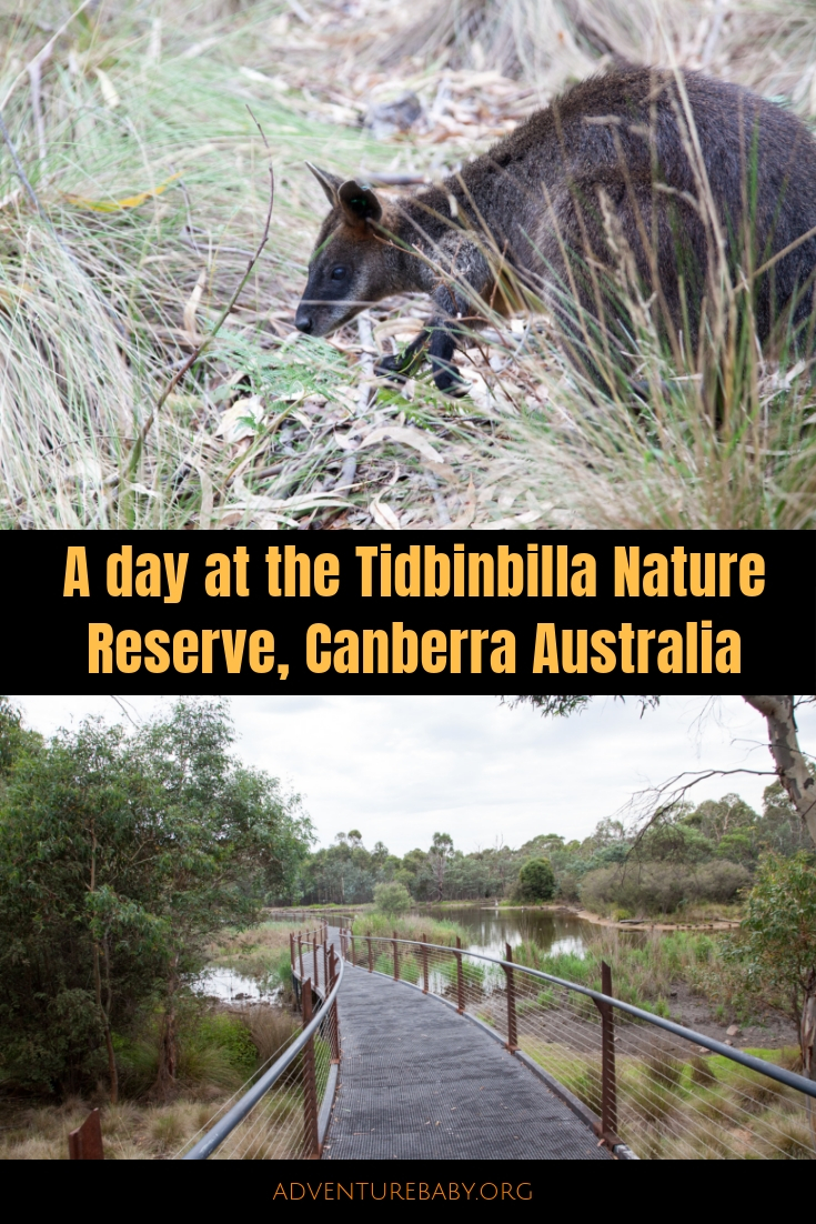 Tidbinbilla Canberra Australia