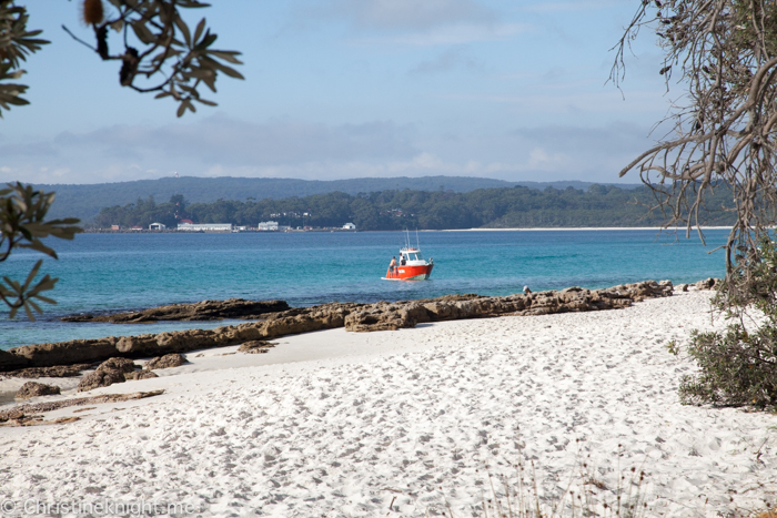 Jervis Bay Archives Adventure Baby