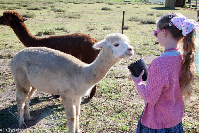 The Woods Farm Jervis Bay NSW