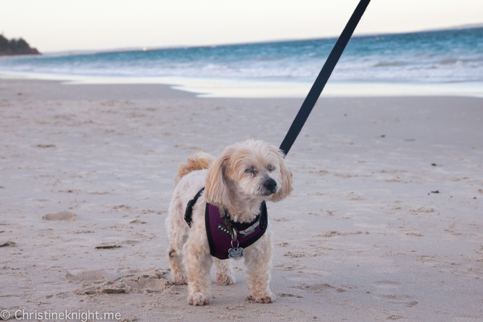 Nelsons Beach Vincentia Jervis Bay NSW