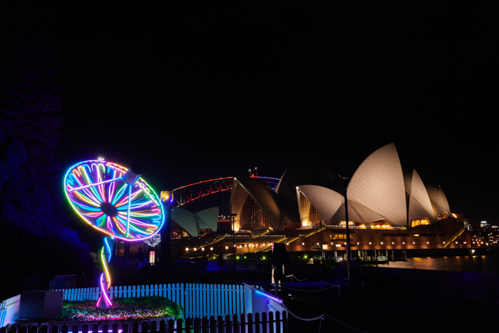 Vivid Sydney The Royal Botanic Gardens