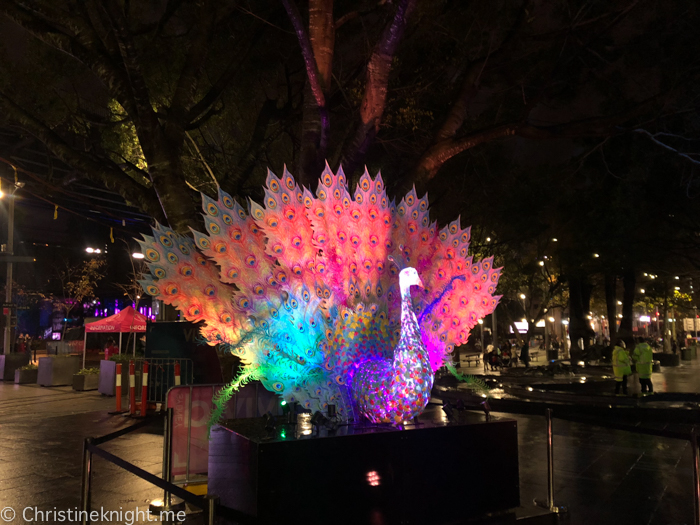 Vivid 2019