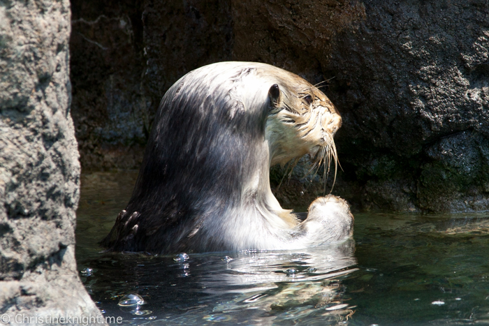 New York Aquarium Coney Island