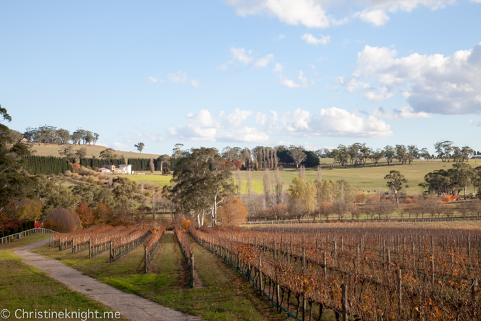 Centennial Vineyard