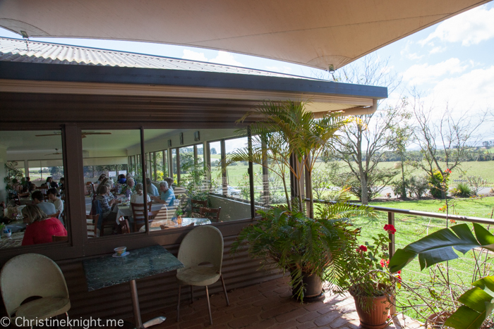 Gallo, Atherton Tablelands, Cairns, Australia