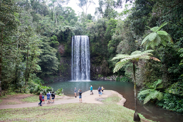 Millaa Millaa Falls, Atherton Tablelands, Cairns, Australia