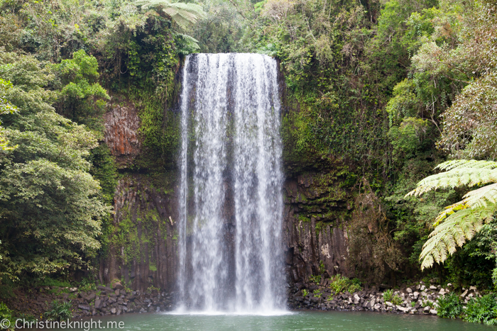 Millaa Millaa Falls, Atherton Tablelands, Cairns, Australia