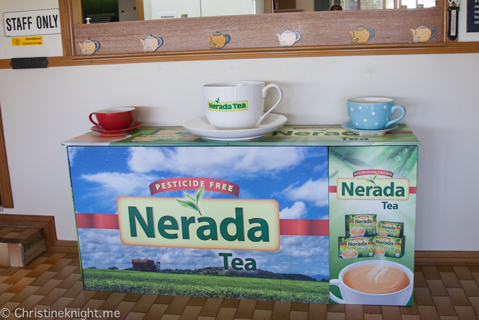 Nerida Tea Plantation, Atherton Tablelands, Cairns, Australia