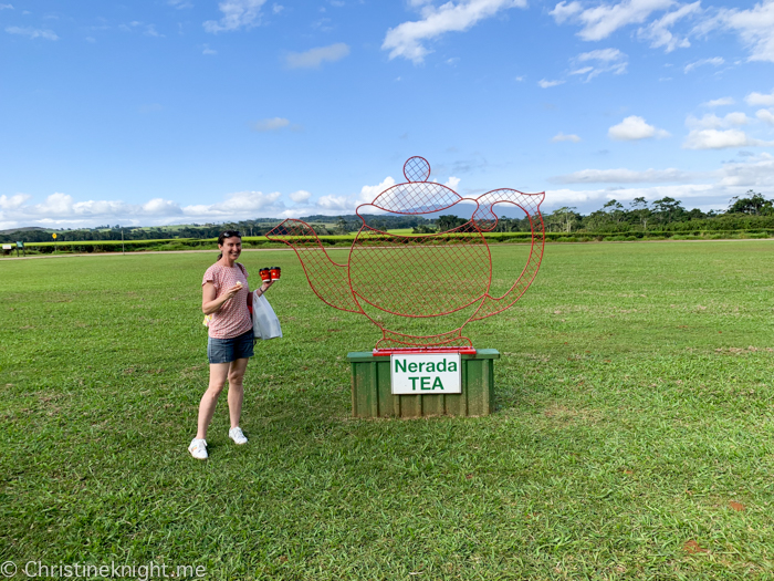 Nerida Tea Plantation, Atherton Tablelands, Cairns, Australia