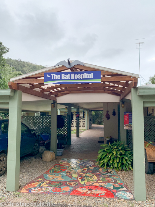 Tolga Bat Hospital, Atherton Tablelands, Cairns, Australia
