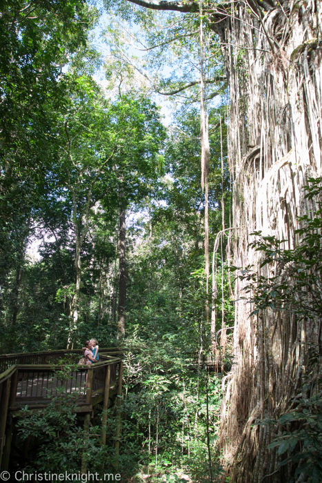 Atherton Tablelands, Cairns, Australia