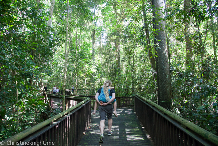 Atherton Tablelands, Cairns, Australia