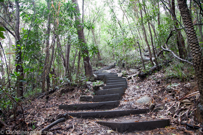 Fitzroy Island Cairns Australia