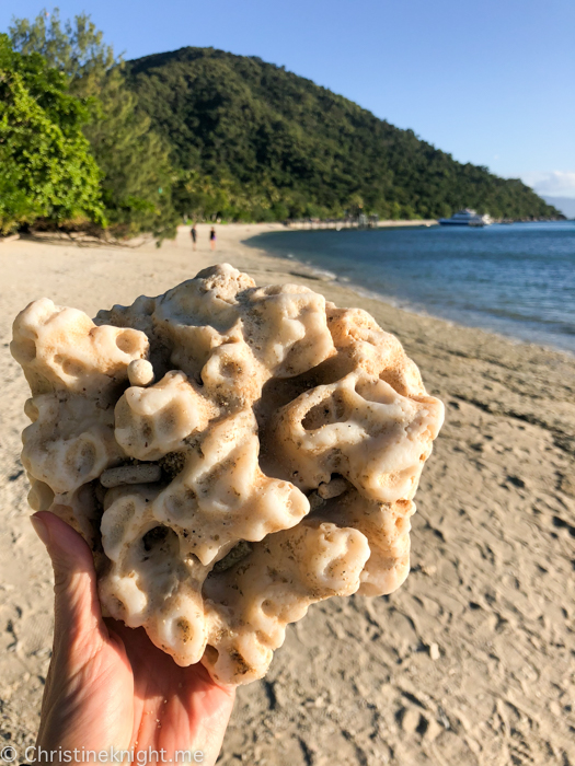 Fitzroy Island Cairns Australia