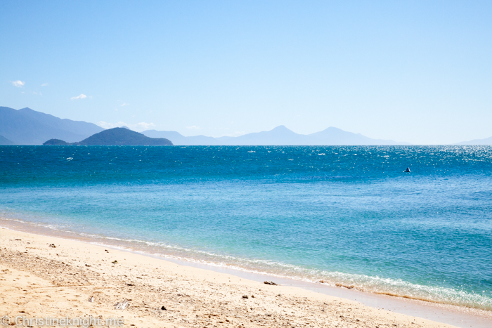 Frankland Islands Cairns Australia