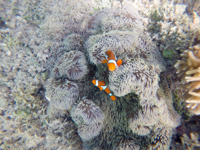 Frankland Islands Cairns Australia