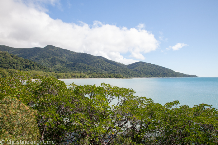 Daintree Rainforest