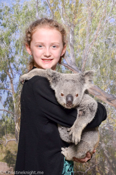 Kuranda Koala Gardens Australia